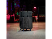LD Systems DAVE 15 G4X BAG SET LD Systems DAVE 15 G4X BAG SET